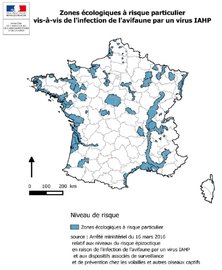IAHP : publication de l'arrêté du 21/04/2026 : abaissement au niveau de risque à modéré.