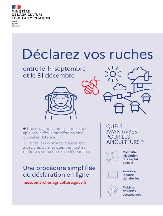 Déclarez vos ruches ! 🐝